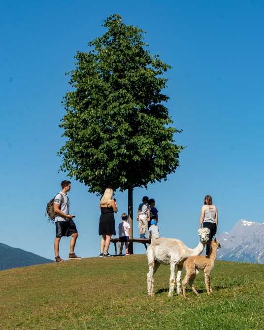 Influencer Marketing für die Salzburger Sportwelt - Bloghütte Influencer Camp